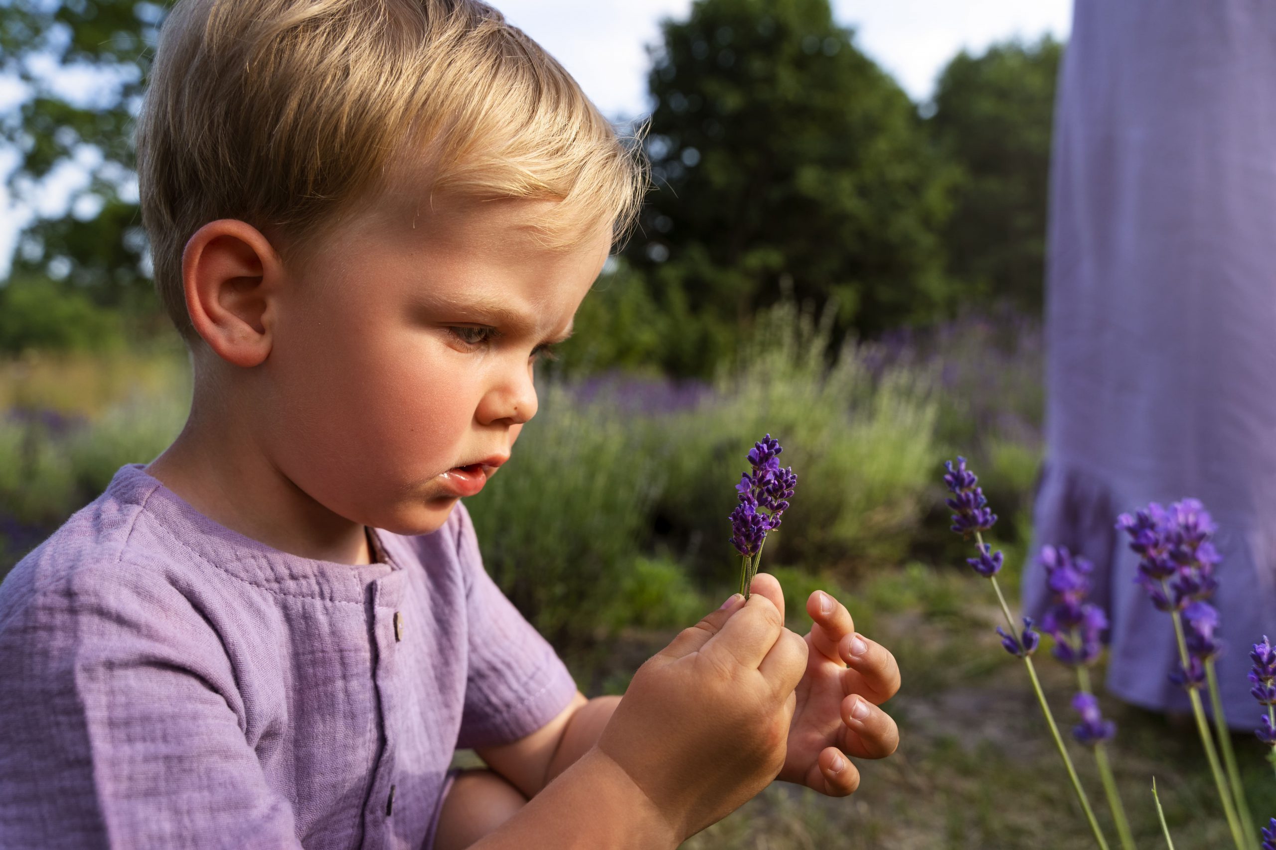 Montessori lavendel scaled