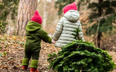 Montessori, Religion und Spiritualität