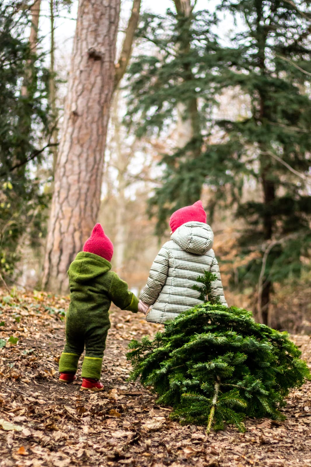 Montessori Religion - Kinder erleben Weihnachten als gemeinsames Ritual in der Natur