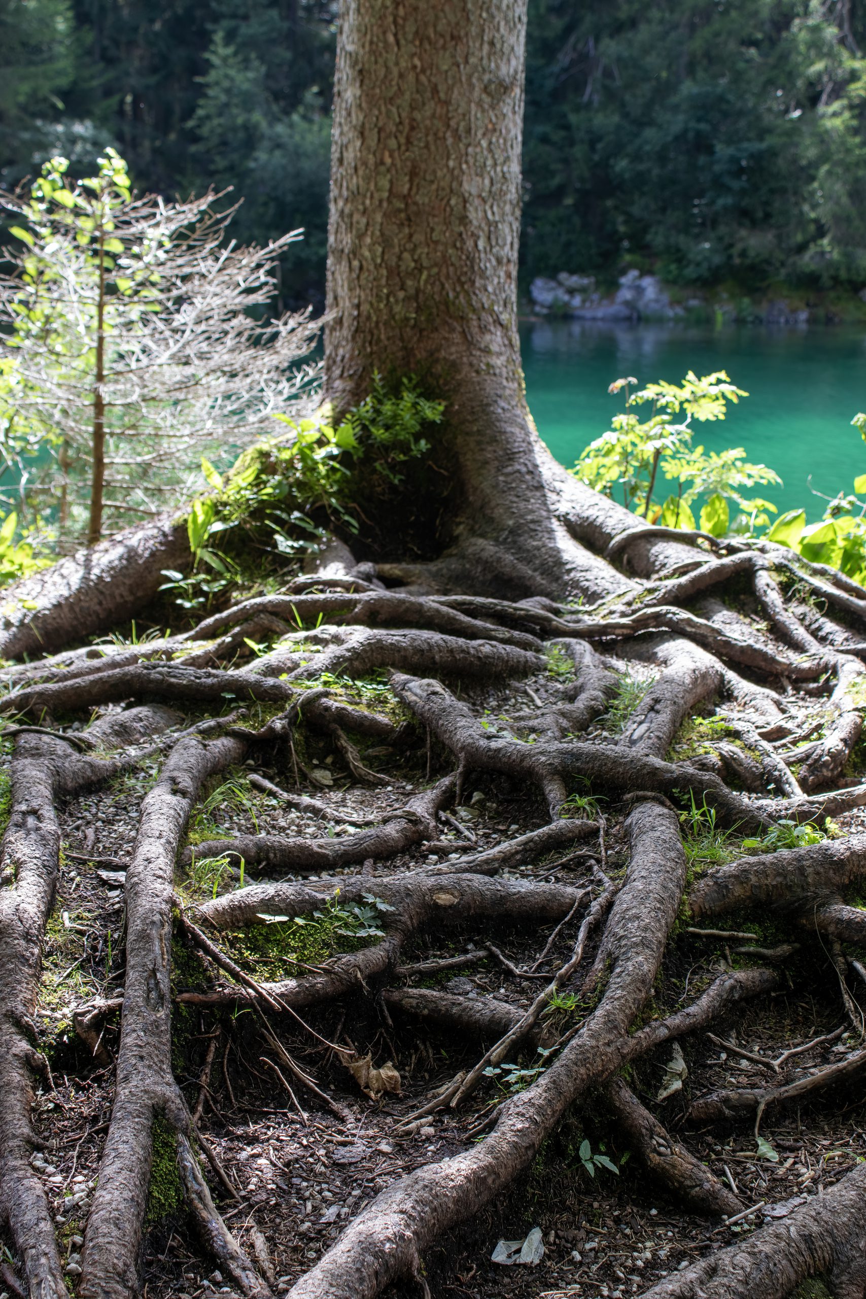 Kosmische Erziehung erklärt Montessori-Pädagogik
