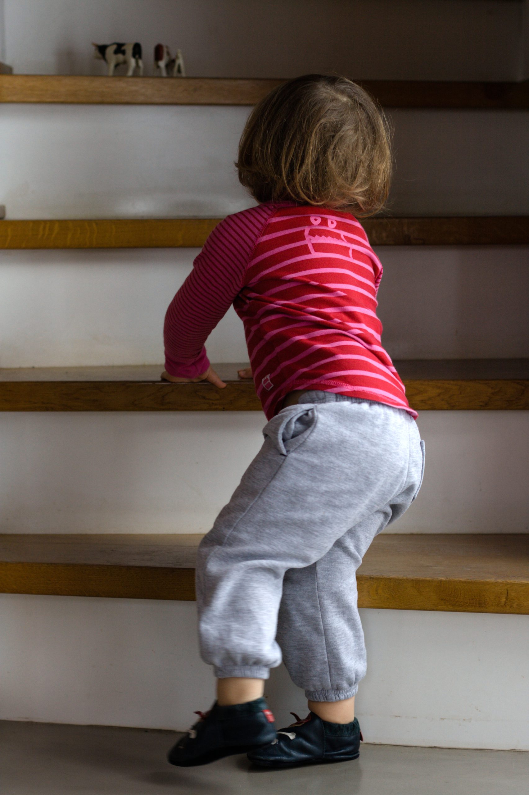 Montessori Entwicklung verstehen Zeit geben Blogbeitrag Birgit Salvenmoser